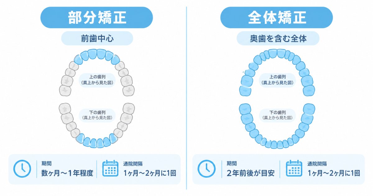 部分矯正と全体矯正の基本的な違いと治療範囲の特徴